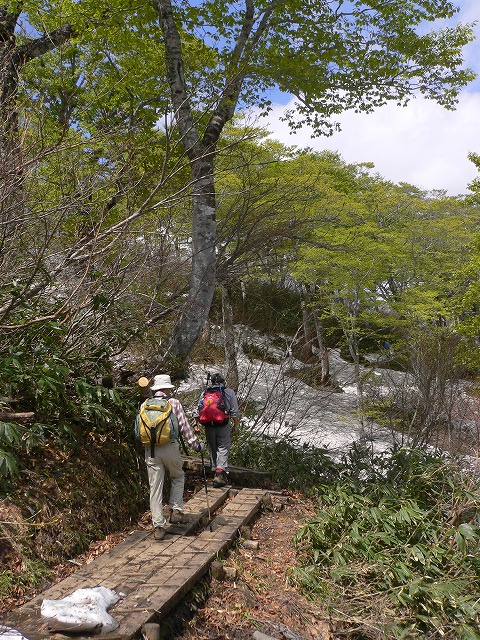 天神平からの登山道