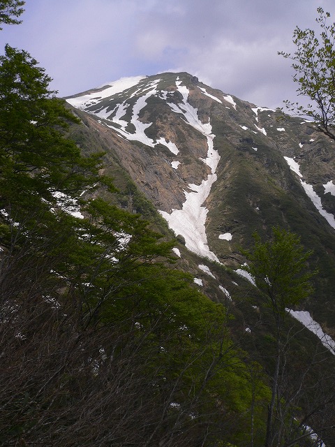 登山道から仰ぐ谷川岳