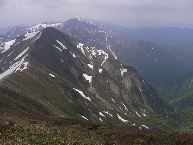 オジカ沢の頭から万太郎山、仙ノ倉岳、霞んで苗場山が見える