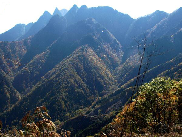 両神山の稜線