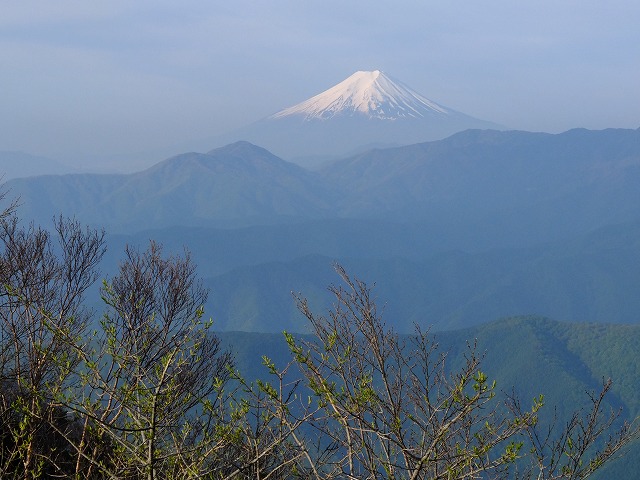 雲取山からの富士山